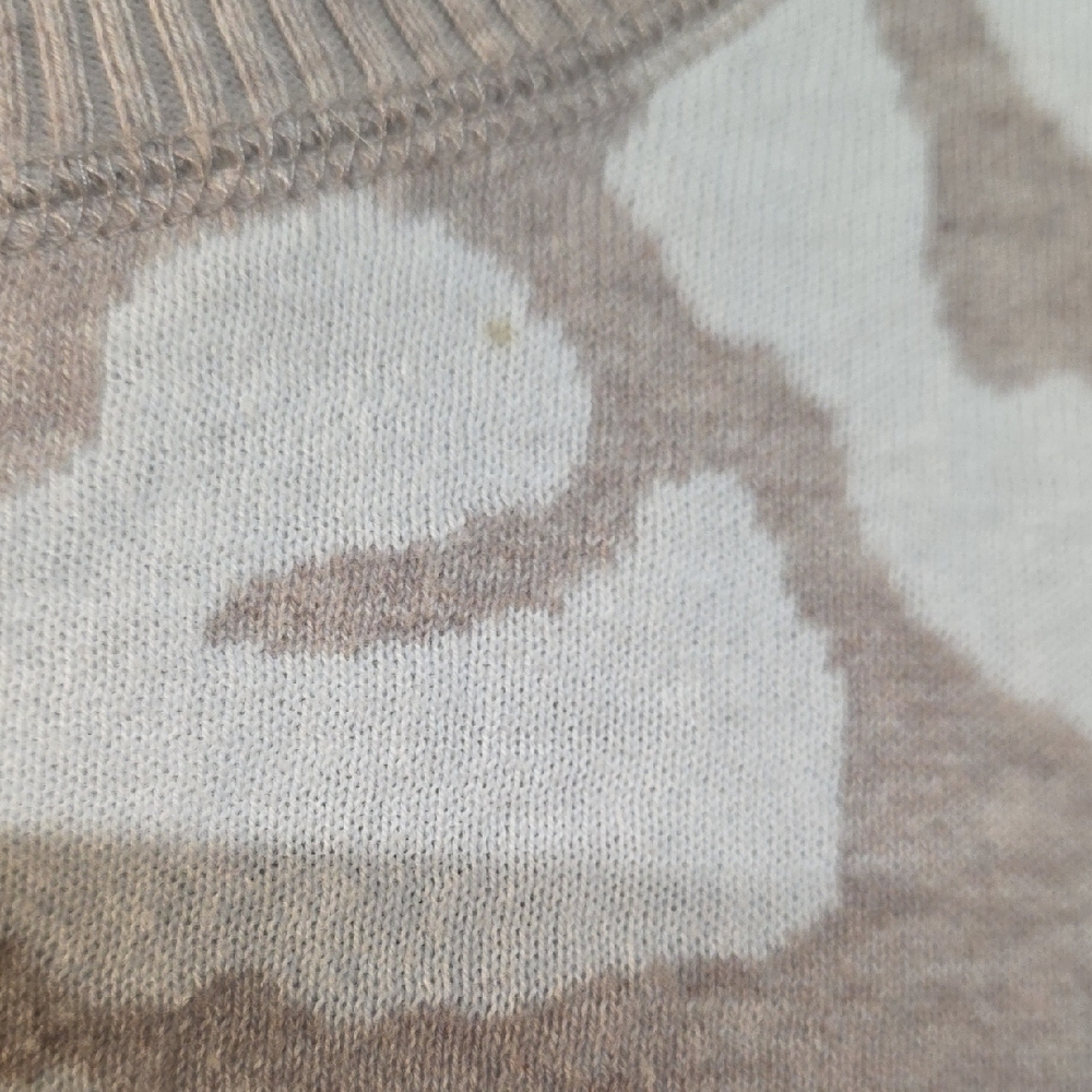Express Beige and White Animal Print Sweater - Picture 2 of 6